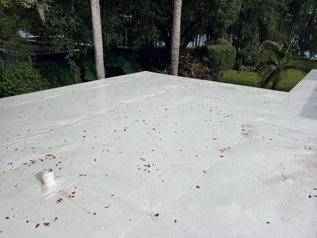 a flat roof in florida after repair with leaves on it