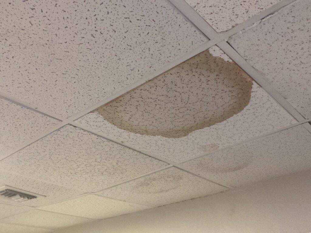 picture of office ceiling with water marks damaging ceiling panels from leaking roof