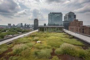 green roof on building, with view of city skyline, created with generative ai