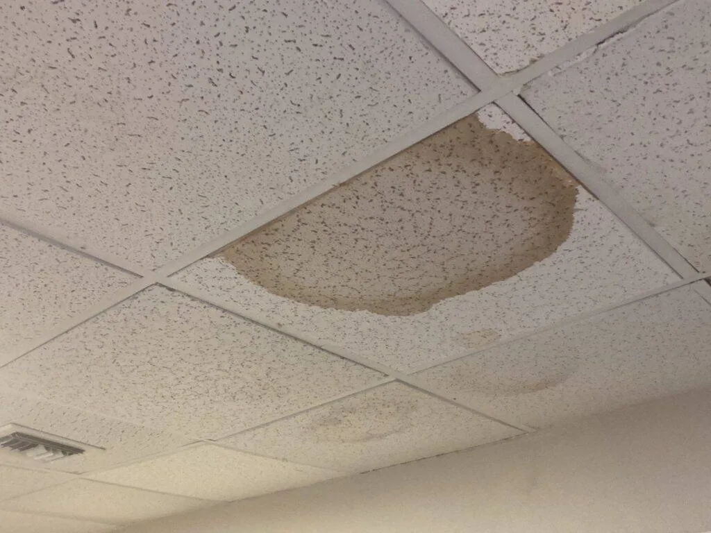 picture of office ceiling with water marks damaging ceiling panels from leaking roof
